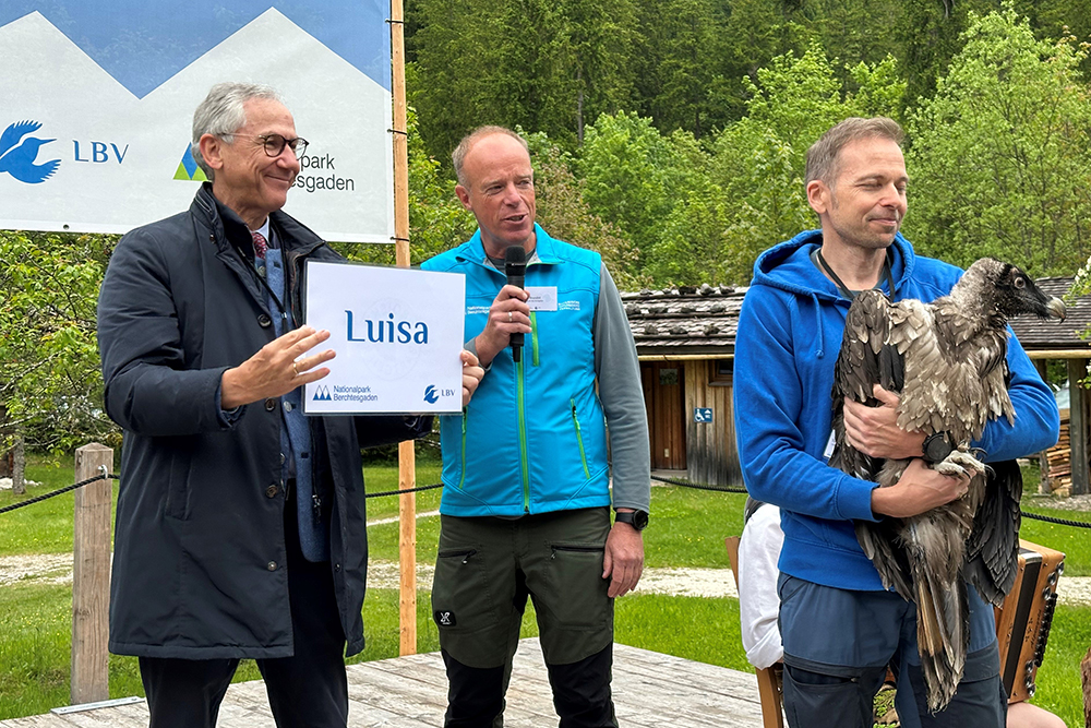 Dr. Christian Barth (l.) verlas die Namen der jungen Bartgeier. Hier 