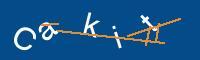 Captcha eingeben