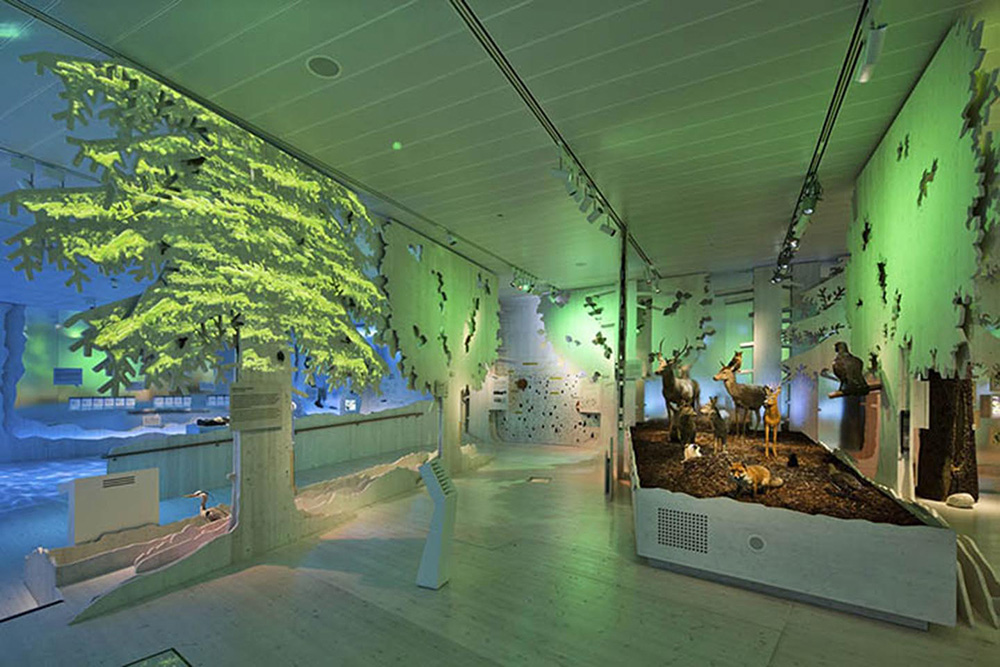 Permanent exhibition Vertical Wilderness in the National Park Center Haus der Berge