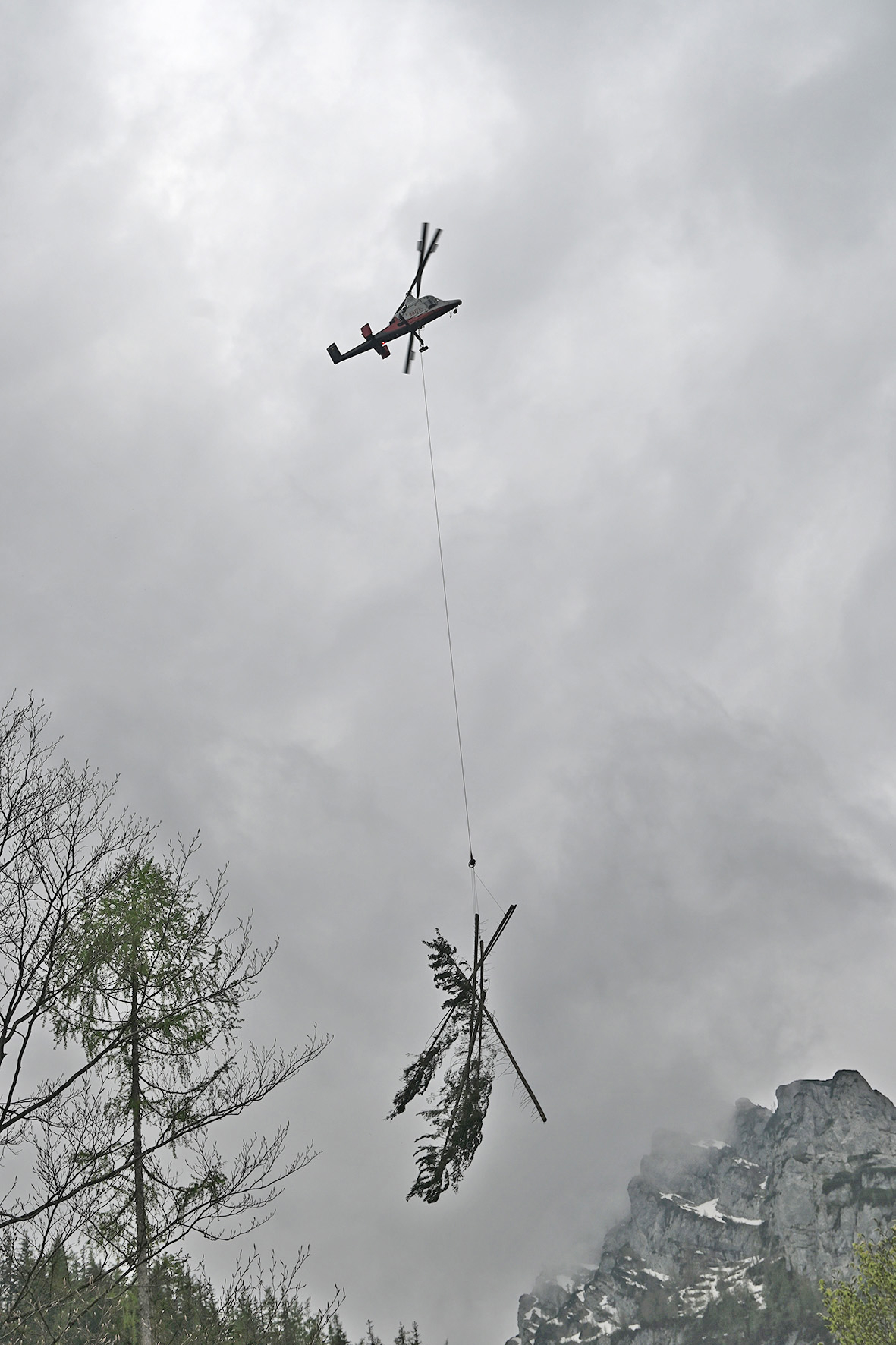 Pressebild: Beim Borkenkäfermanagement am Hintersee kam ein Spezialhubschrauber zum Einsatz.