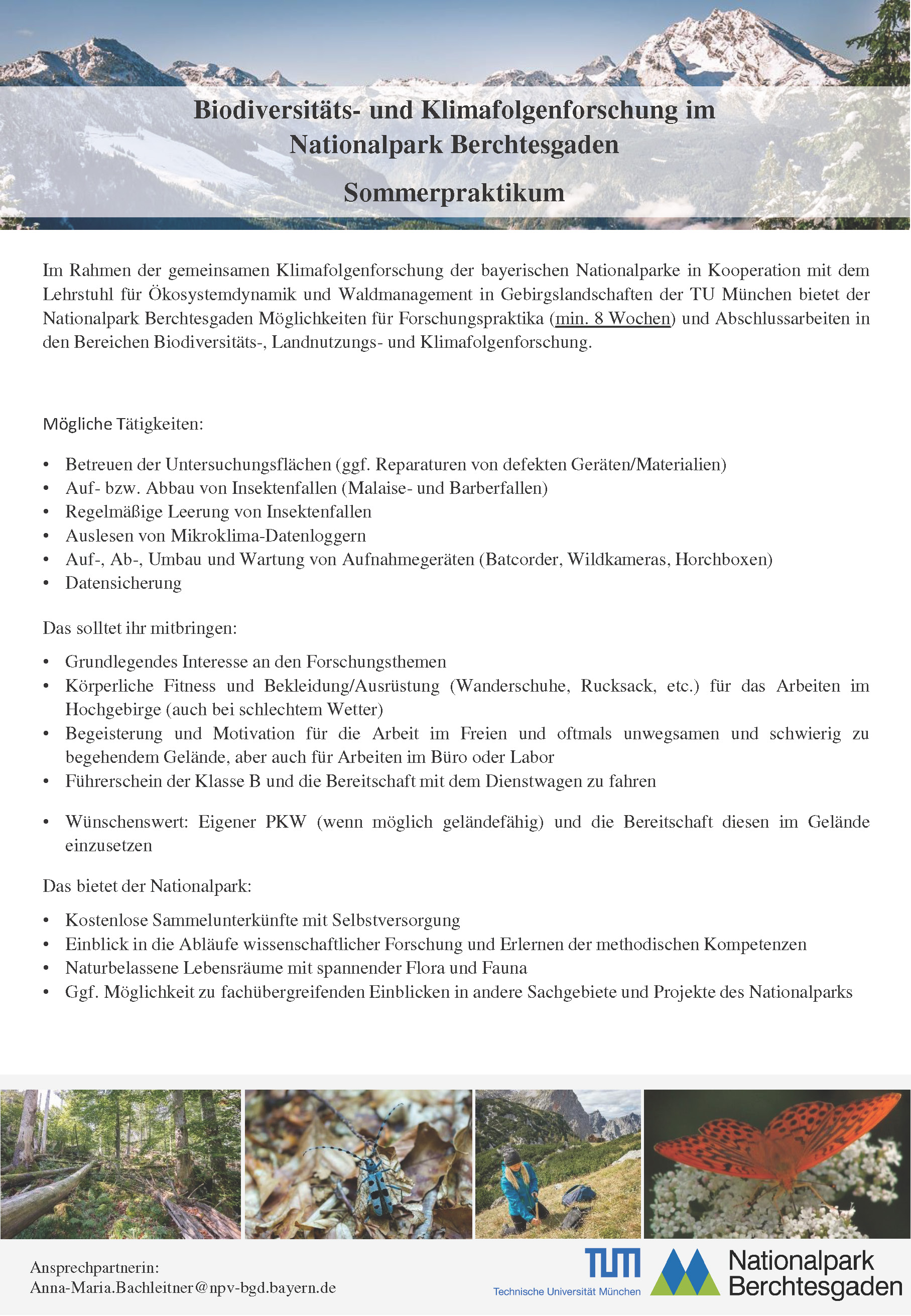 Biodiversitäts- und Klimafolgenforschung im Nationalpark Berchtesgaden Sommerpraktikum