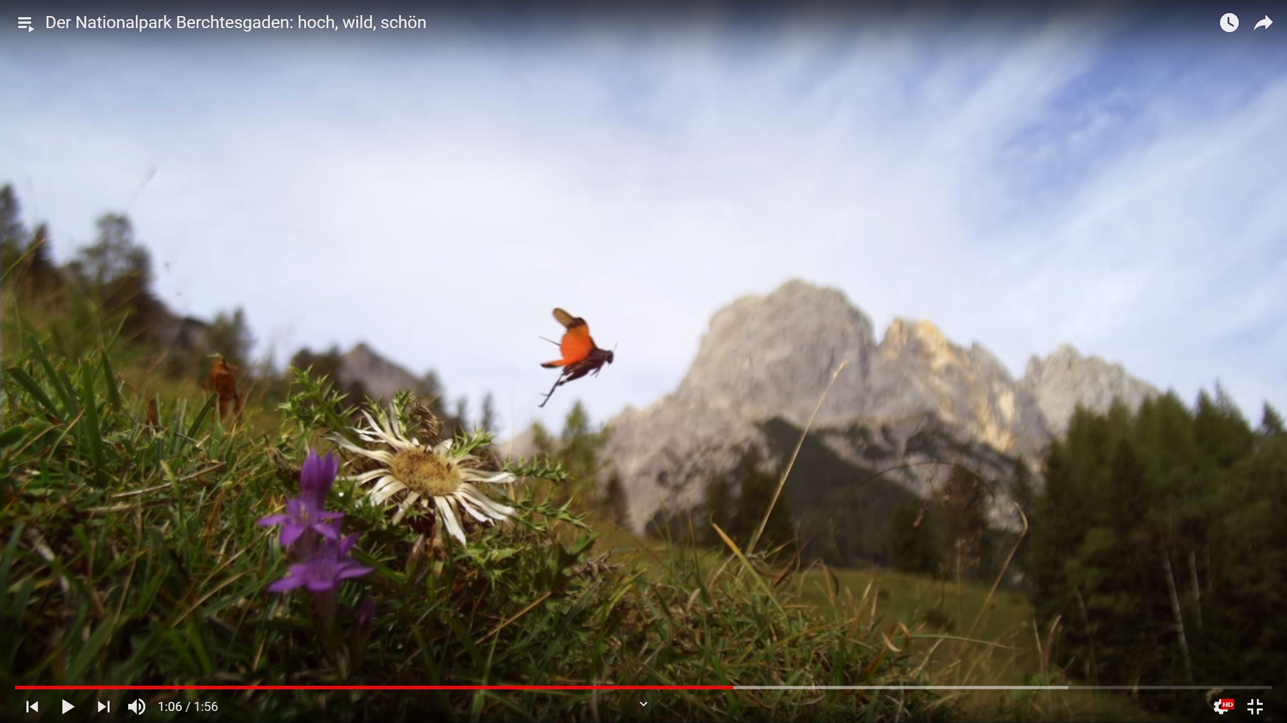 Berchtesgaden National Park: high, wild, beautiful